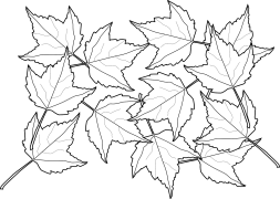 feuille Coloriage En Ligne